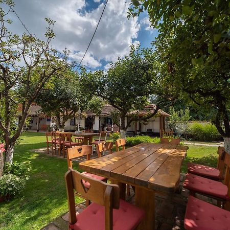 Domacinstvo Cikic Zasavica Guest House ภายนอก รูปภาพ