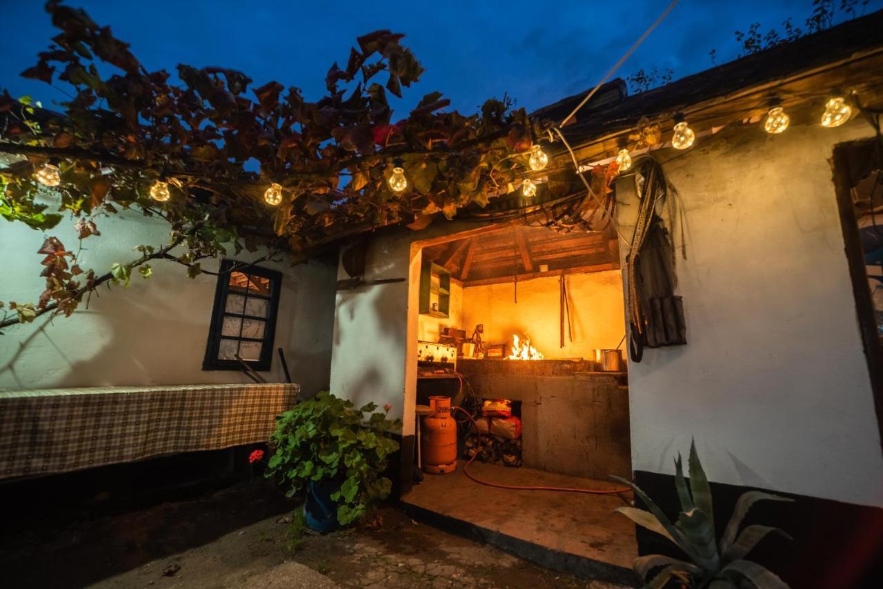 Domacinstvo Cikic Zasavica Guest House ภายนอก รูปภาพ