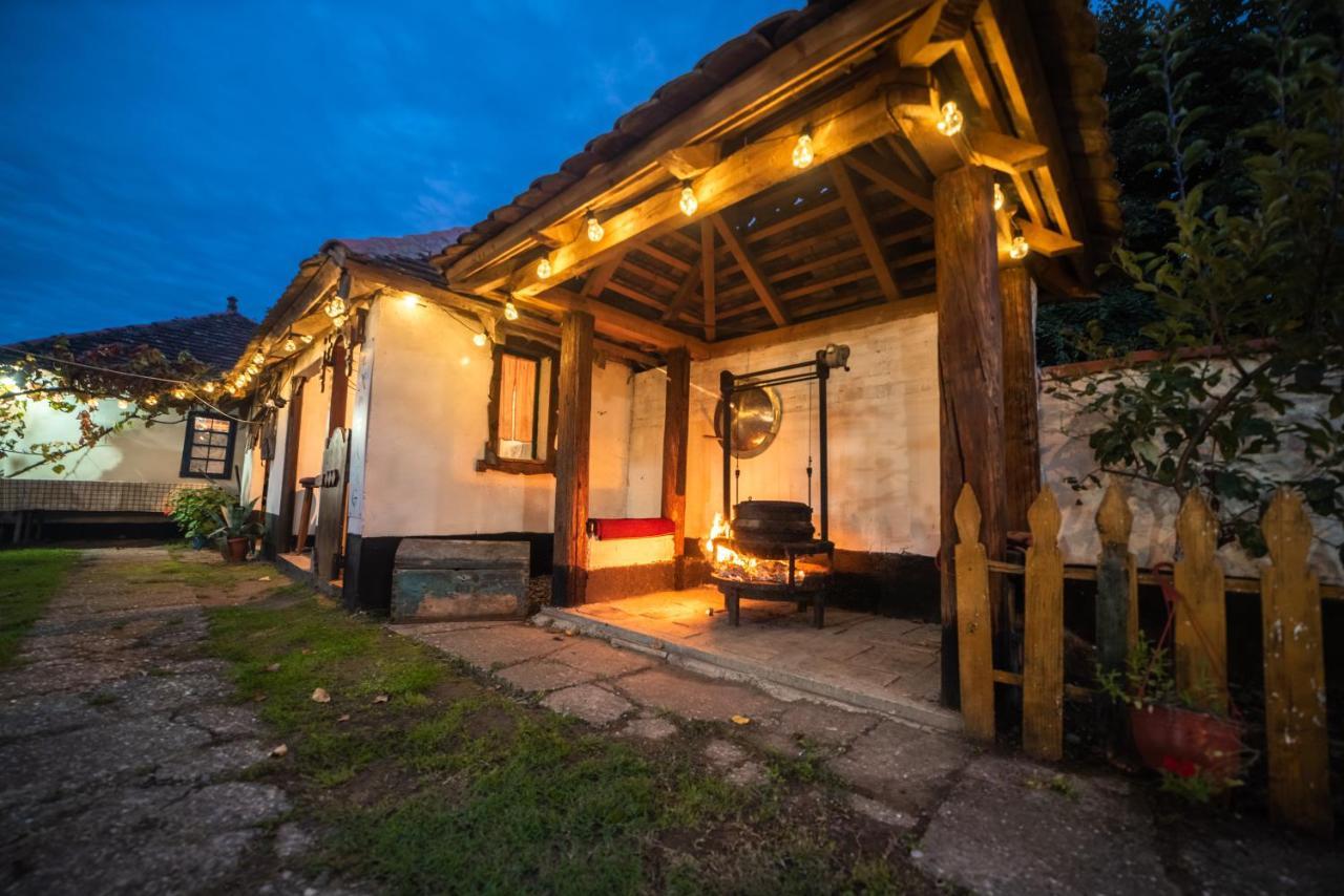Domacinstvo Cikic Zasavica Guest House ภายนอก รูปภาพ