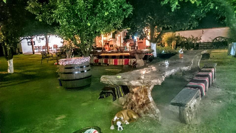 Domacinstvo Cikic Zasavica Guest House ภายนอก รูปภาพ
