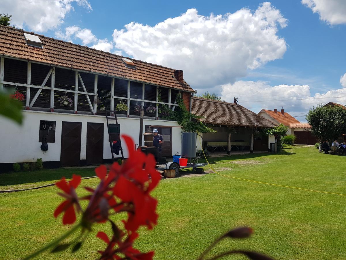 Domacinstvo Cikic Zasavica Guest House ภายนอก รูปภาพ