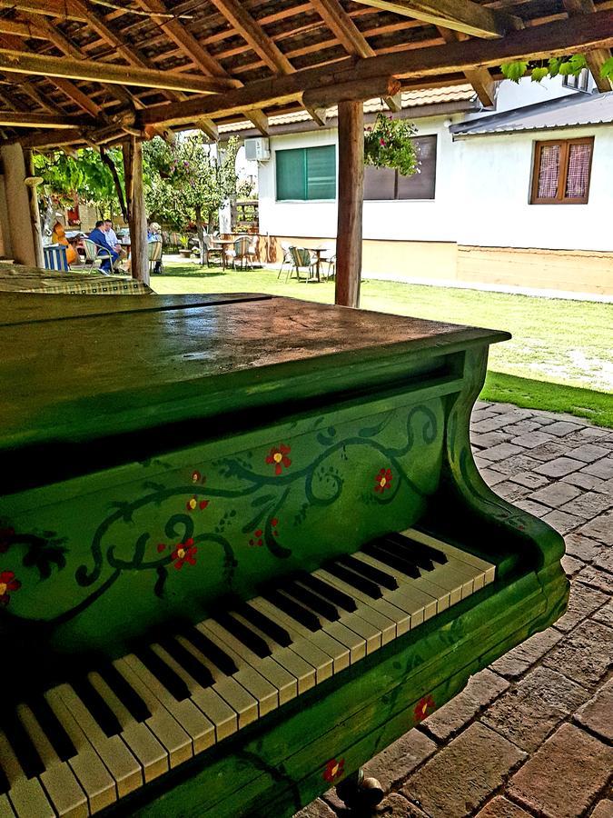 Domacinstvo Cikic Zasavica Guest House ภายนอก รูปภาพ