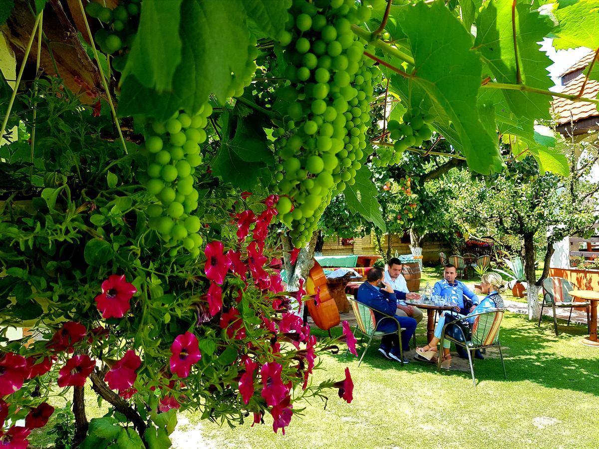 Domacinstvo Cikic Zasavica Guest House ภายนอก รูปภาพ